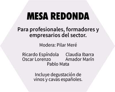 Mesa Redonda. Para profesionales, formadores y empresarios del sector